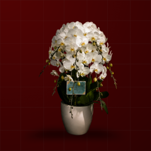 Bouquet Meja 004